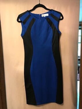 Cobalt Blue and Black Sleeveless Sheath Dress